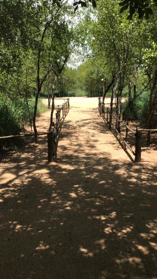 Mzsingitana Tented Camp フッドスプルイト エクステリア 写真