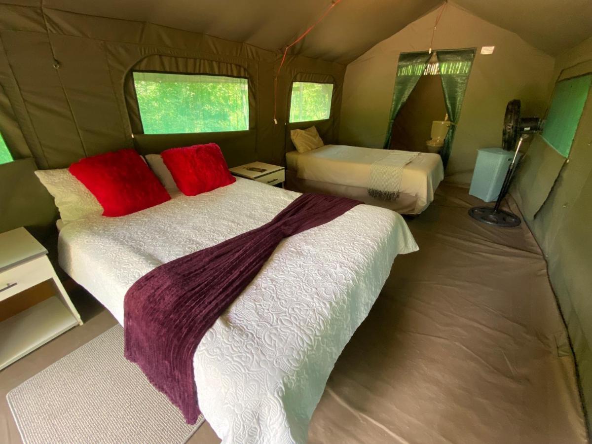 Mzsingitana Tented Camp フッドスプルイト エクステリア 写真