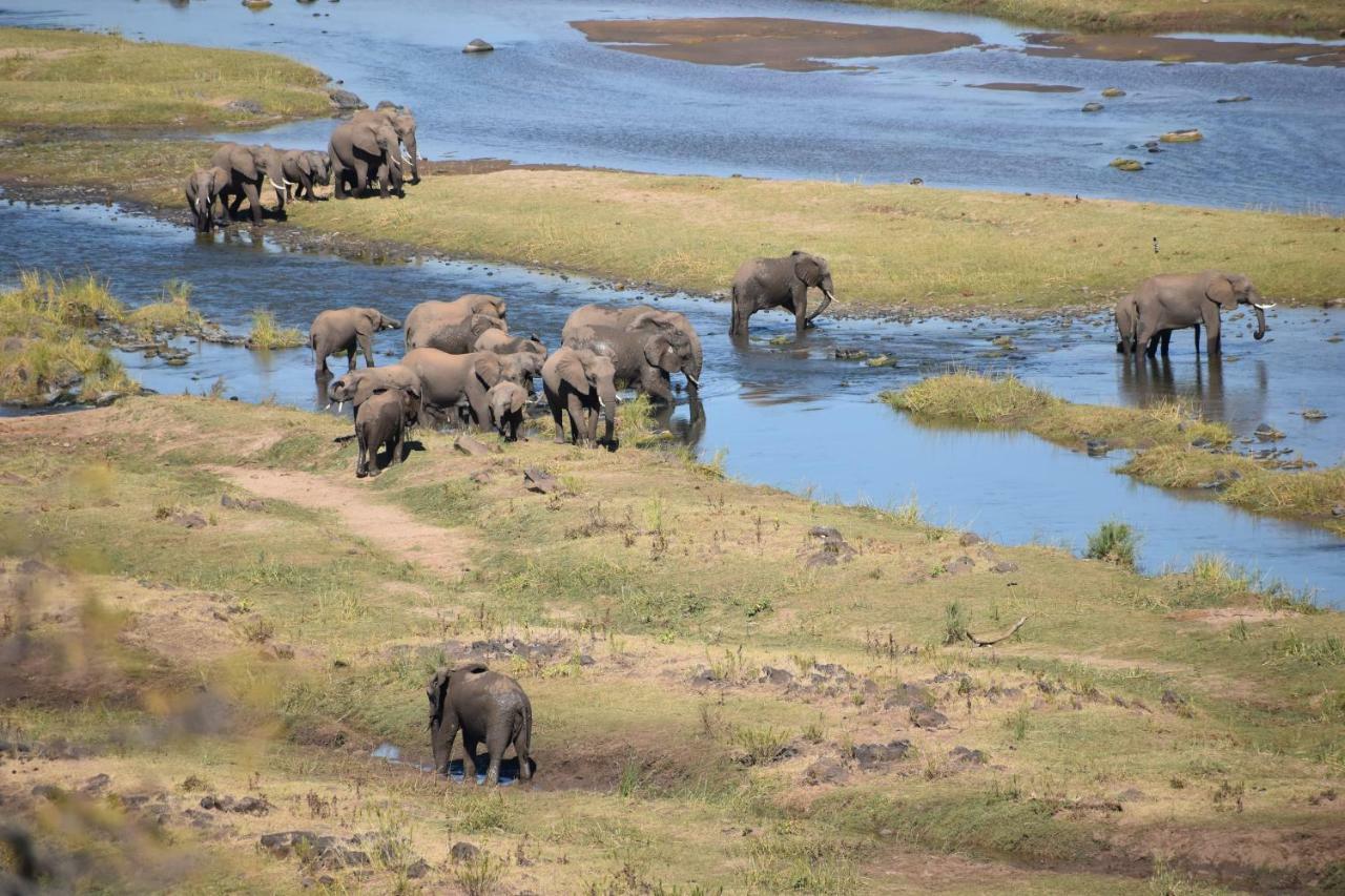 Mzsingitana Tented Camp フッドスプルイト エクステリア 写真