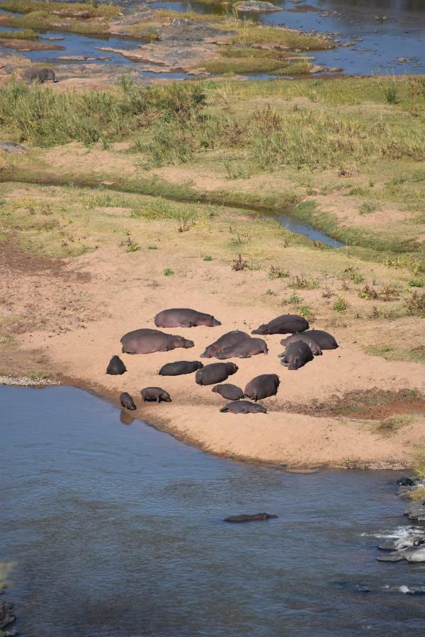 Mzsingitana Tented Camp フッドスプルイト エクステリア 写真