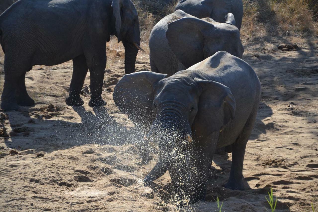 Mzsingitana Tented Camp フッドスプルイト エクステリア 写真