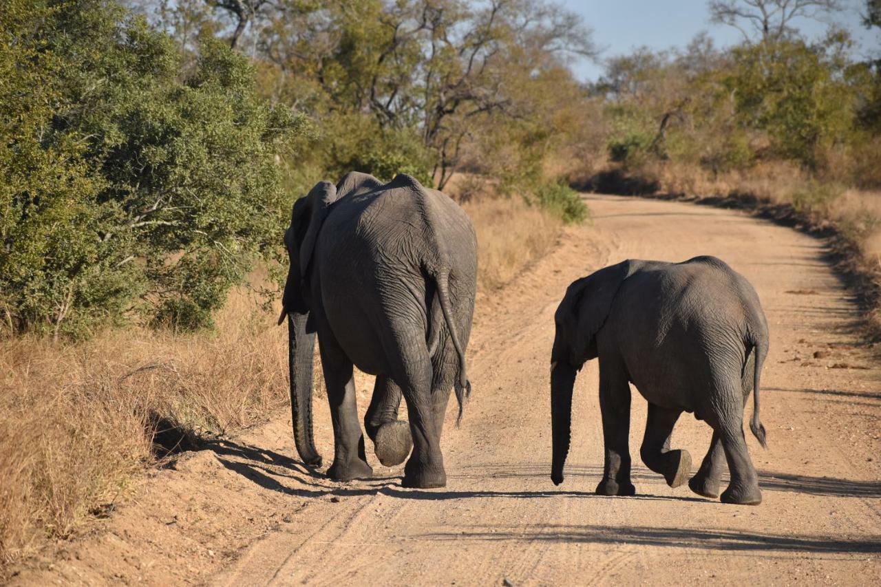 Mzsingitana Tented Camp フッドスプルイト エクステリア 写真