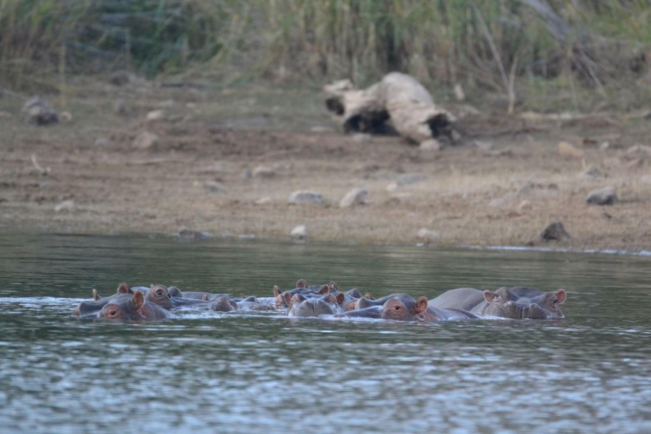 Mzsingitana Tented Camp フッドスプルイト エクステリア 写真