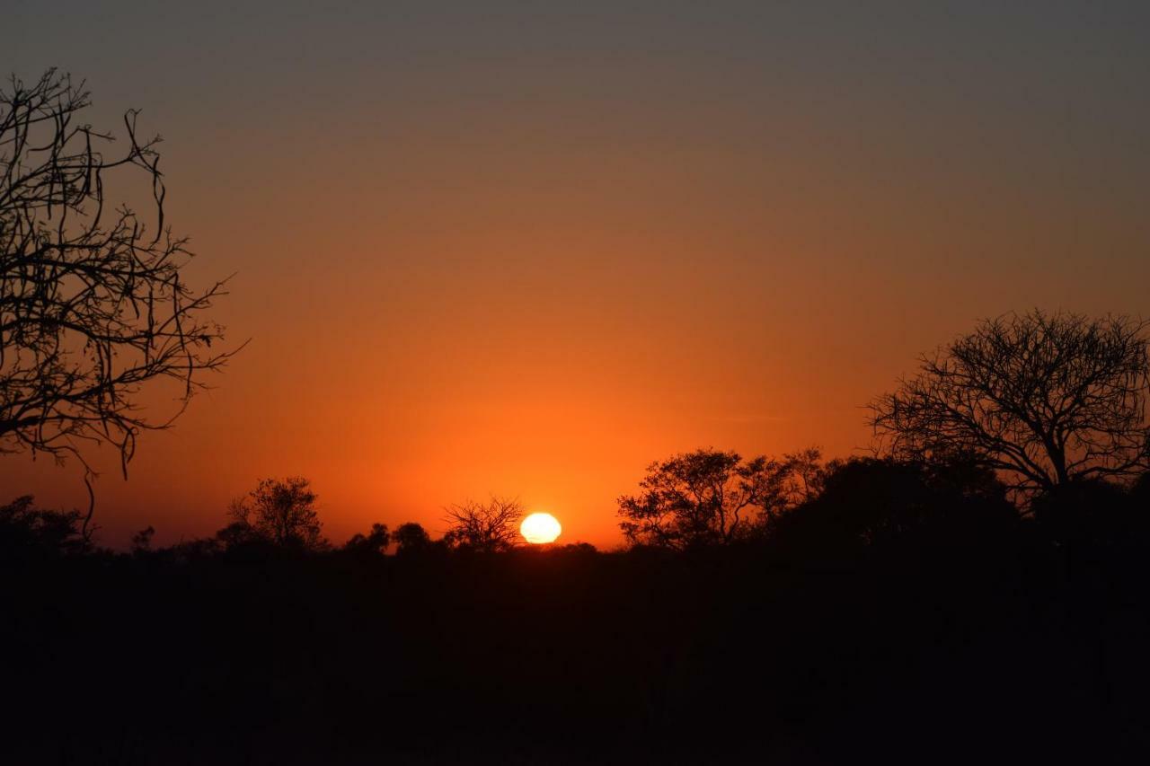 Mzsingitana Tented Camp フッドスプルイト エクステリア 写真